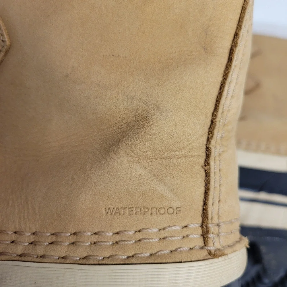 Sorel caribou winter